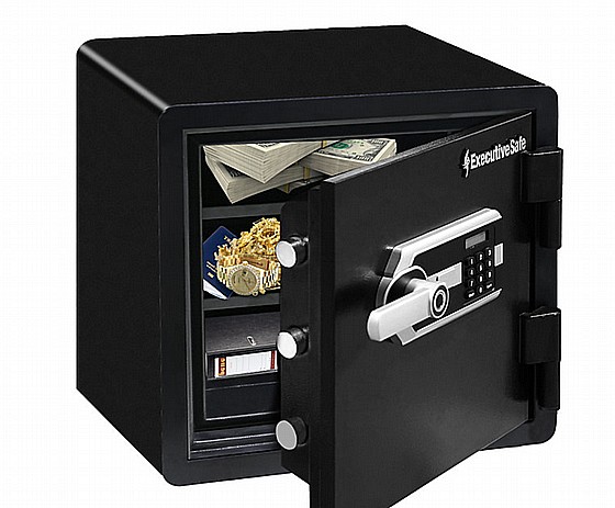 ���� ������ ����� �� Executive Safe ES045