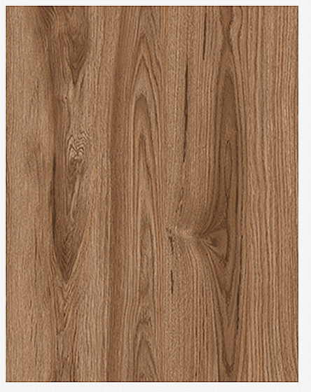 ����� ����� ��� "����" �� ����� 160 �"� ��� �� UD/ROYAL ���� ��� �����